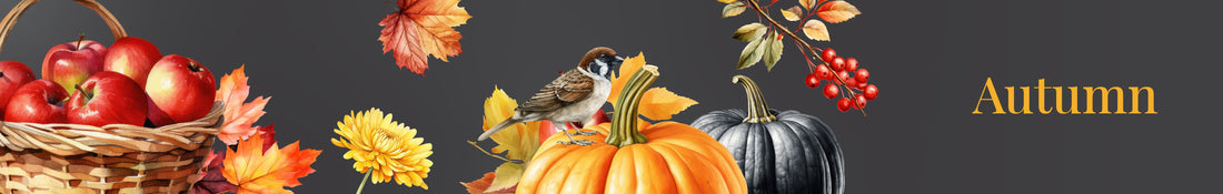 Fall | Autumn