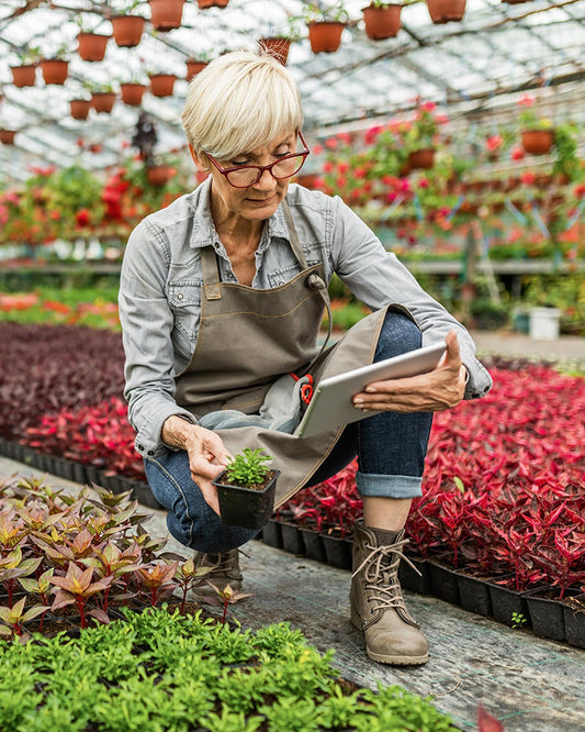 Woman in a greenhouse holding a tablet and a small plant
