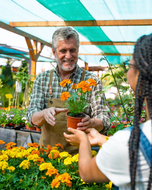 Man in a greenhouse showing a potted plant to a woman