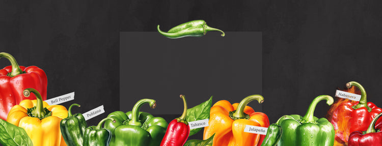Colorful peppers in many varieties on a dark background