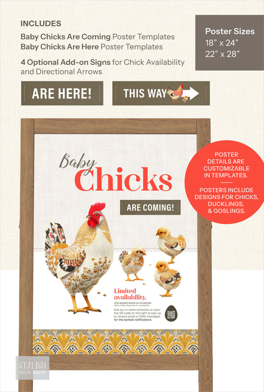 The Little Coop Co. Retail Kit