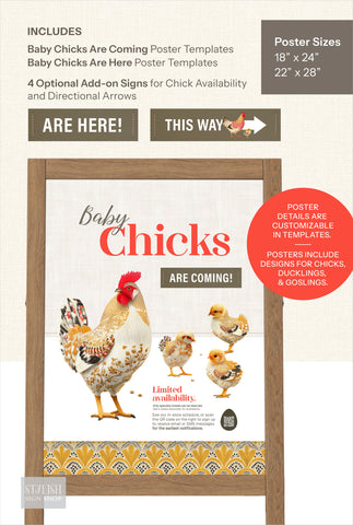 The Little Coop Co. Retail Kit