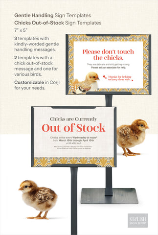 The Little Coop Co. Retail Kit