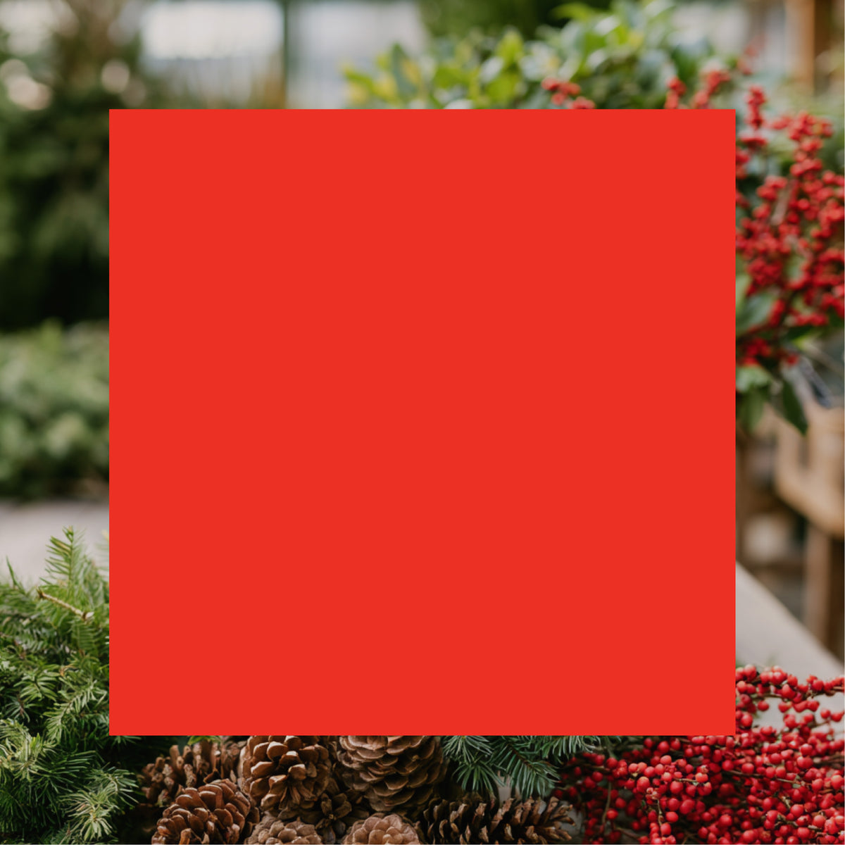 Holiday Shop